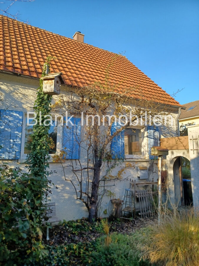 Helles Einfamilienhaus mit Garage und Garten zum renovieren! - Leutkirch - Südansicht