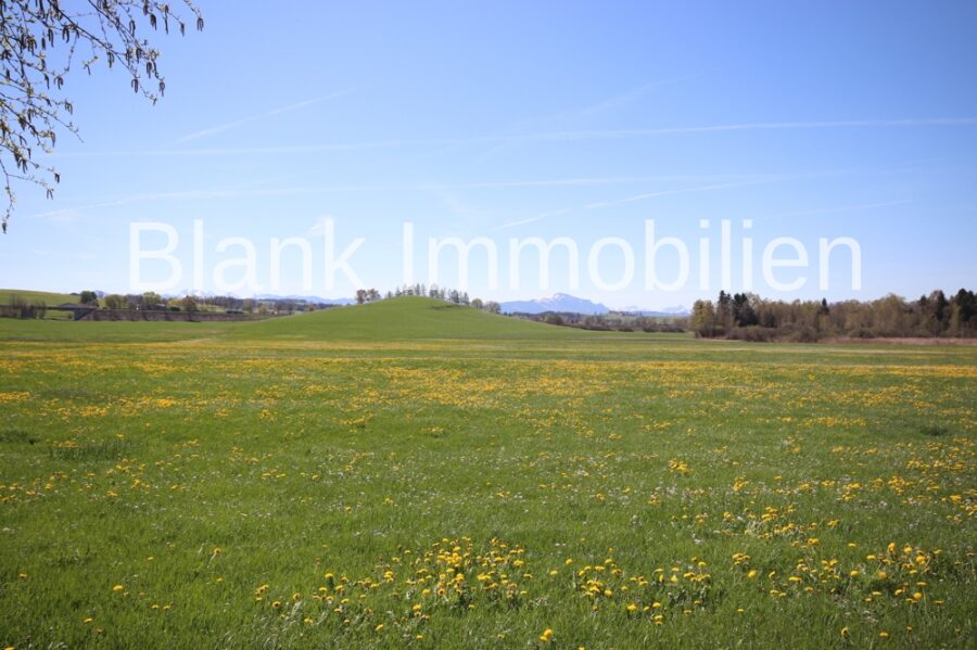 Renovierungsbedürftiger Bauernhof mit Bergblick, Alleinlage und Grund in Betzigau - Provisionsfrei - Aussicht